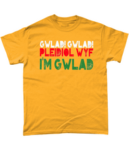 Load image into Gallery viewer, Gwlad! Gwlad! 2024 - Crys-T