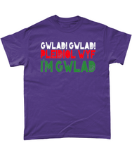 Load image into Gallery viewer, Gwlad! Gwlad! 2024 - Crys-T