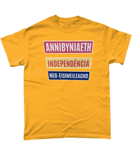 Load image into Gallery viewer, Annibyniaeth Independencia - Crys-T