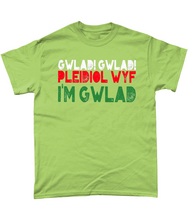 Load image into Gallery viewer, Gwlad! Gwlad! 2024 - Crys-T