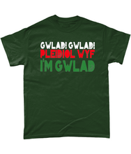 Load image into Gallery viewer, Gwlad! Gwlad! 2024 - Crys-T