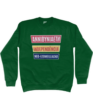 Load image into Gallery viewer, Annibyniaeth Independencia - Crys chwys