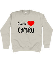 Load image into Gallery viewer, Dwi'n Caru Cymru - Crys chwys
