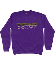 Load image into Gallery viewer, CONWY - Crys chwys