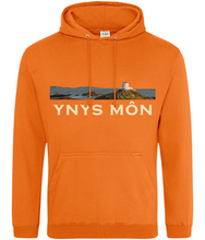 Load image into Gallery viewer, Ynys Môn - Hwdi