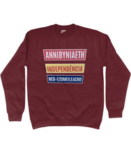 Load image into Gallery viewer, Annibyniaeth Independencia - Crys chwys