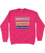 Load image into Gallery viewer, Annibyniaeth Independencia - Crys chwys