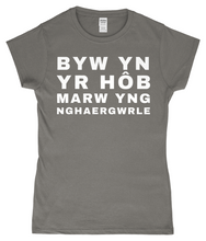 Load image into Gallery viewer, BYW YN YR HôB - Crys-T "fitted"