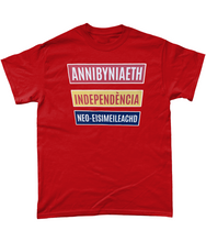 Load image into Gallery viewer, Annibyniaeth Independencia - Crys-T
