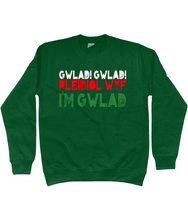 Load image into Gallery viewer, Gwlad! Gwlad! 2024 - Crys chwys