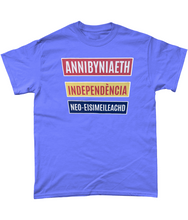 Load image into Gallery viewer, Annibyniaeth Independencia - Crys-T