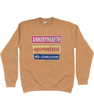 Load image into Gallery viewer, Annibyniaeth Independencia - Crys chwys