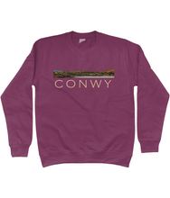 Load image into Gallery viewer, CONWY - Crys chwys