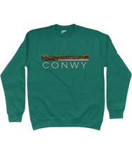 Load image into Gallery viewer, CONWY - Crys chwys
