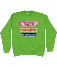 Load image into Gallery viewer, Annibyniaeth Independencia - Crys chwys