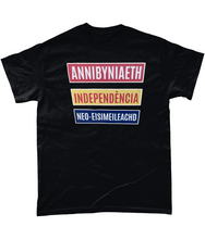 Load image into Gallery viewer, Annibyniaeth Independencia - Crys-T