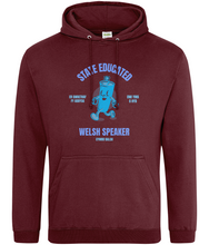 Load image into Gallery viewer, STATE EDUCATED WELSH SPEAKER - Hwdi