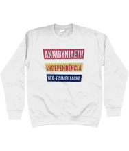 Load image into Gallery viewer, Annibyniaeth Independencia - Crys chwys