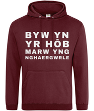 Load image into Gallery viewer, BYW YN YR HôB - Hwdi