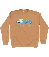 Load image into Gallery viewer, Cont yr haf - Crys chwys