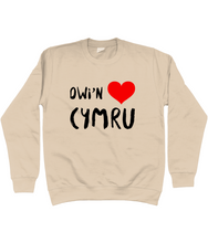 Load image into Gallery viewer, Dwi'n Caru Cymru - Crys chwys
