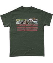 Load image into Gallery viewer, LLANFAIRPG - Crys-T