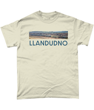 Load image into Gallery viewer, LLANDUDNO - Crys-T