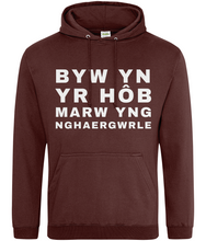 Load image into Gallery viewer, BYW YN YR HôB - Hwdi