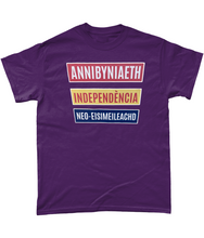 Load image into Gallery viewer, Annibyniaeth Independencia - Crys-T