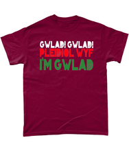 Load image into Gallery viewer, Gwlad! Gwlad! 2024 - Crys-T