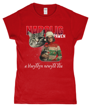 Load image into Gallery viewer, Nadolig Pawen - Cath - Crys-T "fitted"