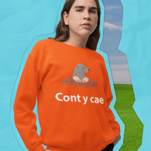 Load image into Gallery viewer, Cont y cae - Crys chwys