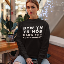 Load image into Gallery viewer, BYW YN YR HôB - Crys chwys