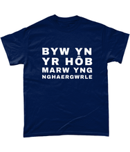 Load image into Gallery viewer, BYW YN YR HôB - Crys-T