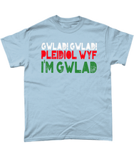 Load image into Gallery viewer, Gwlad! Gwlad! 2024 - Crys-T