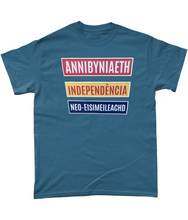 Load image into Gallery viewer, Annibyniaeth Independencia - Crys-T