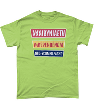 Load image into Gallery viewer, Annibyniaeth Independencia - Crys-T