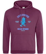 Load image into Gallery viewer, STATE EDUCATED WELSH SPEAKER - Hwdi