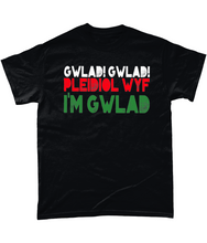 Load image into Gallery viewer, Gwlad! Gwlad! 2024 - Crys-T