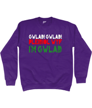 Load image into Gallery viewer, Gwlad! Gwlad! 2024 - Crys chwys