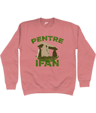 Load image into Gallery viewer, Pentre Ifan - Crys chwys