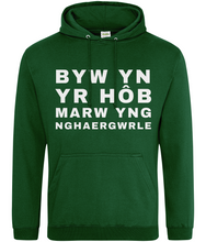 Load image into Gallery viewer, BYW YN YR HôB - Hwdi