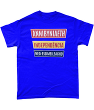 Load image into Gallery viewer, Annibyniaeth Independencia - Crys-T