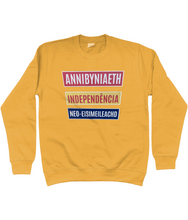 Load image into Gallery viewer, Annibyniaeth Independencia - Crys chwys
