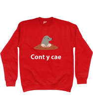 Load image into Gallery viewer, Cont y cae - Crys chwys