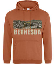 Load image into Gallery viewer, BETHESDA - Hwdi