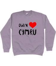 Load image into Gallery viewer, Dwi'n Caru Cymru - Crys chwys