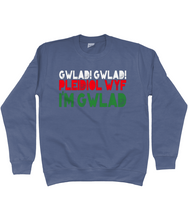 Load image into Gallery viewer, Gwlad! Gwlad! 2024 - Crys chwys
