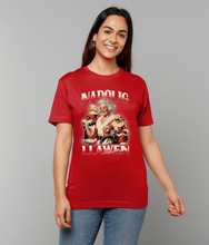 Load image into Gallery viewer, Nadolig Llawen a Blwyddyn Newydd Dda - Crys-T