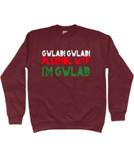 Load image into Gallery viewer, Gwlad! Gwlad! 2024 - Crys chwys